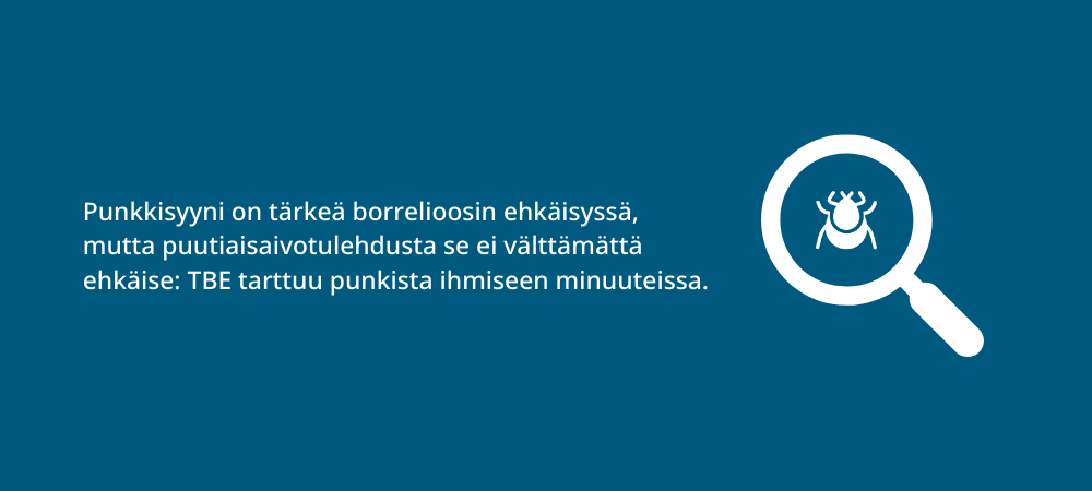 Punkkitarkastuksella punkeilta suojautuminen.