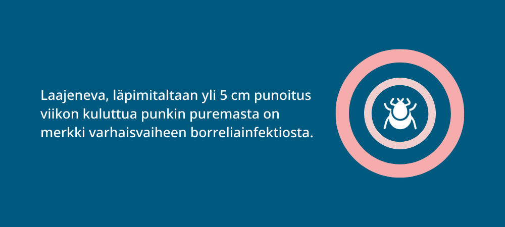 Punoitus pistokohdassa, borreliainfektion merkki.