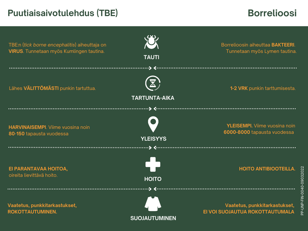 Punkkien levittämien tautien erot: Borrelioosi ja puutiaisaivotulehdus.