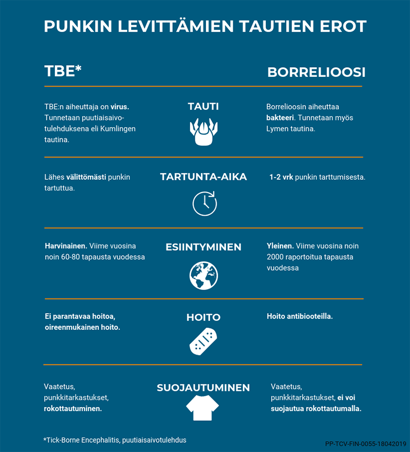 Punkkien levittämien tautien erot: Borrelioosi ja puutiaisaivotulehdus.